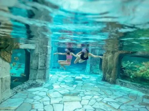 Kinderen snorkelen tussen tropische vissen in het Snorkelbad